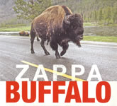 Cover of Buffalo